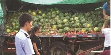 晋江网红吃瓜事件视频