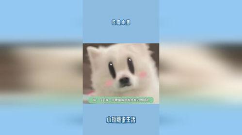 吃瓜网健身小猫,吃瓜网上的健身达人