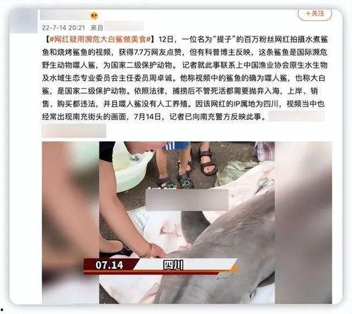网红吃瓜主播是谁啊视频