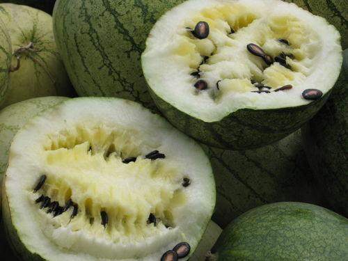 51cg6吃瓜群众网,揭秘娱乐圈幕后故事，带你领略真实娱乐圈