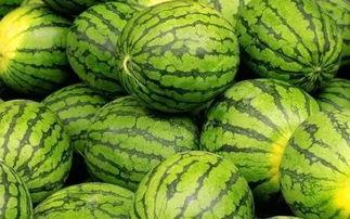 最新吃瓜官网,吃瓜官网独家爆料,明星幕后故事大公开!