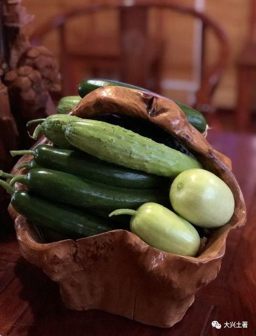 和县网红吃瓜,揭秘网络红人的幕后故事