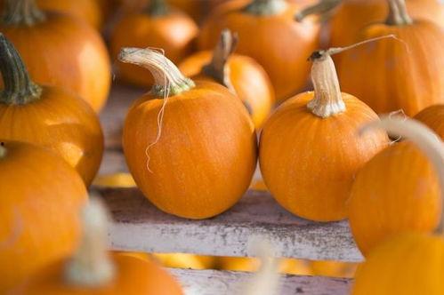 番瓜网吃瓜视频,揭秘娱乐圈幕后故事