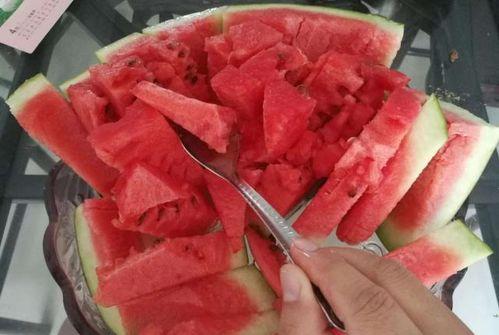 韩城黄河滩吃瓜网红视频,网红视频带你体验韩城夏日风情