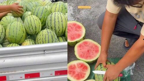 临沂吃生瓜网红叫什么