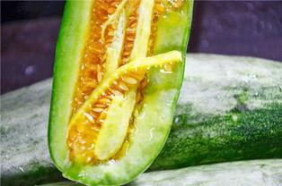 吃小网红瓜,那些你不知道的小秘密