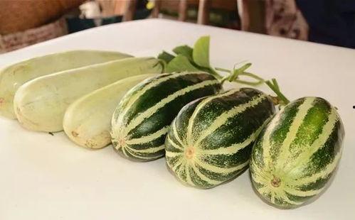 吃小网红瓜,那些你不知道的小秘密