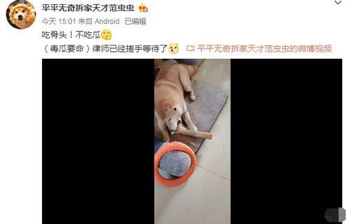 吃瓜网红男博主是谁啊视频