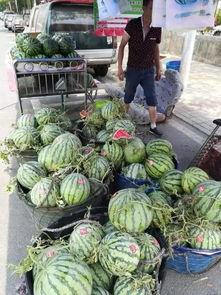 柳州网红吃瓜事件,一场网络狂欢背后的真相与反思