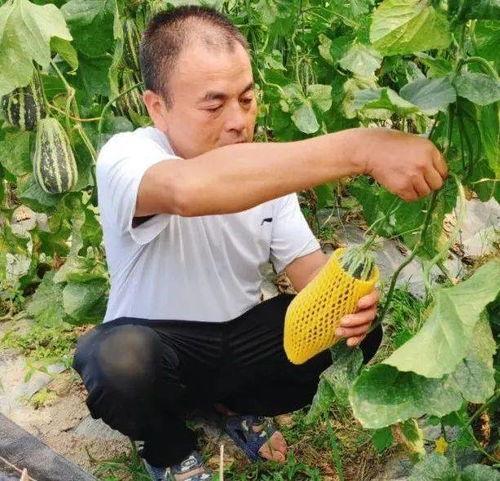 国产网暴吃瓜,吃瓜群众背后的真相与反思