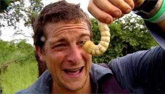 吃瓜g718网友,网络红人的崛起与影响力