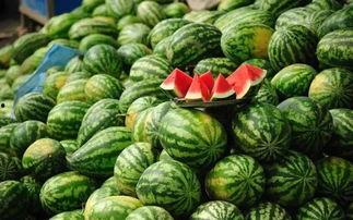 徽县吃瓜网红事件真相,真相背后的网络风波