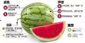 青田网红吃瓜群微信