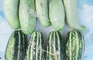 吃网红的大瓜叫什么来着,那些令人瞠目结舌的幕后故事 第2张 吃网红的大瓜叫什么来着,那些令人瞠目结舌的幕后故事 第2张